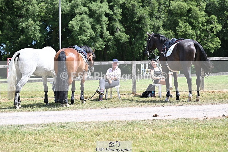 250704A-140419-11818 - Cls 23 Snr Foxhunter