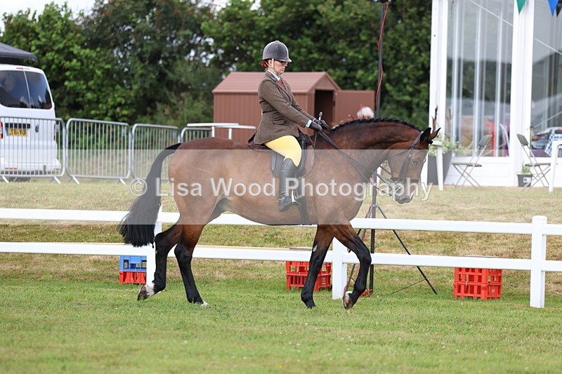 3E7A9258 - Class 4: Rising Star M/H Hunter