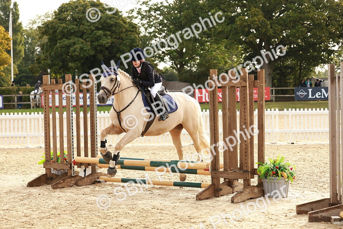 SBM_55712 - J11 - Junior Pony 50cm Championship