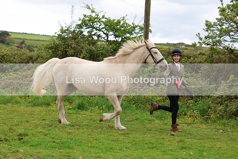 3E7A0759 - In Hand Championship