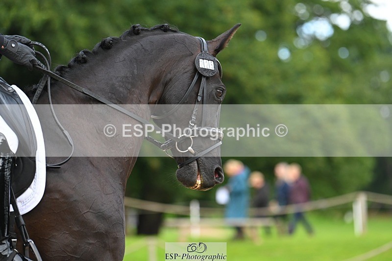 230813-094028-05922 - Cls 12 Elem Silver Start to 10.10 break