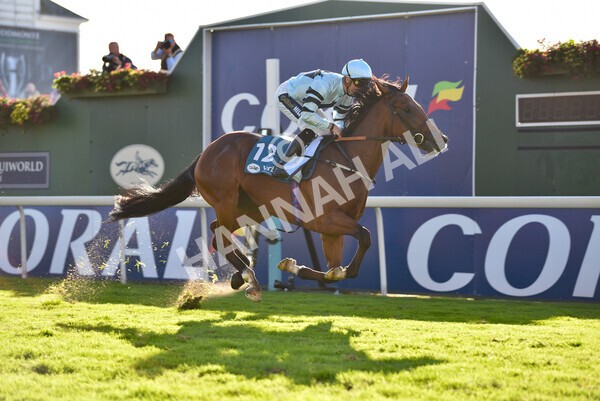 yr08102022r5-46 - Race 5 3.50pm The Coral Committed To Safer Gambling EBFStallions.com Maiden Stakes