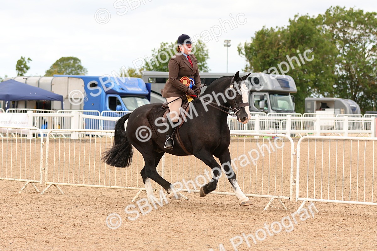 SBM_15624 - Class 214 - Ridden Show Cob