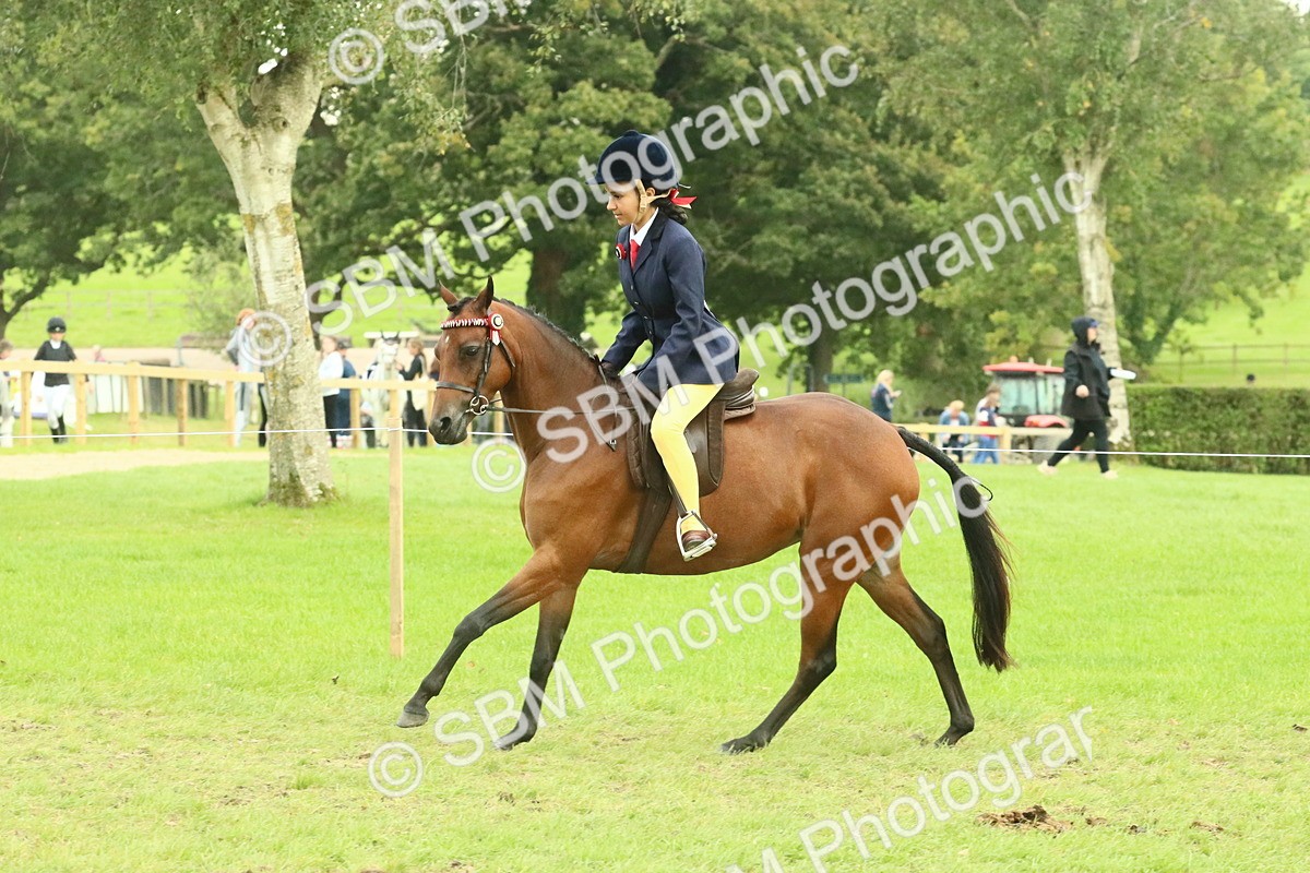 SBM_74035 - S 61 - Show Pony & Show Hunter Pony Ridden