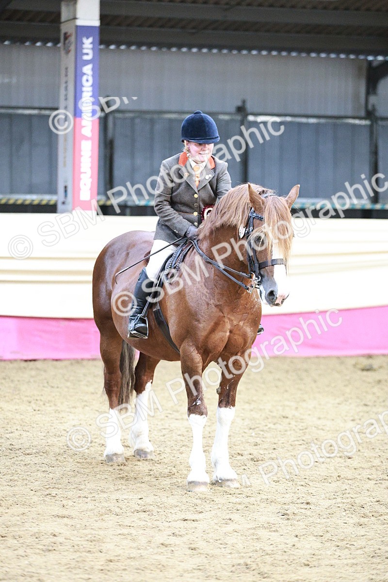 SBM_08677 - Regional Ridden Champ