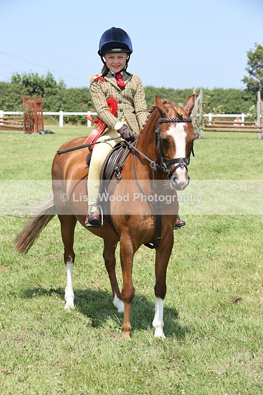 JPP_2931 - Class 21: Working Hunter 60cm