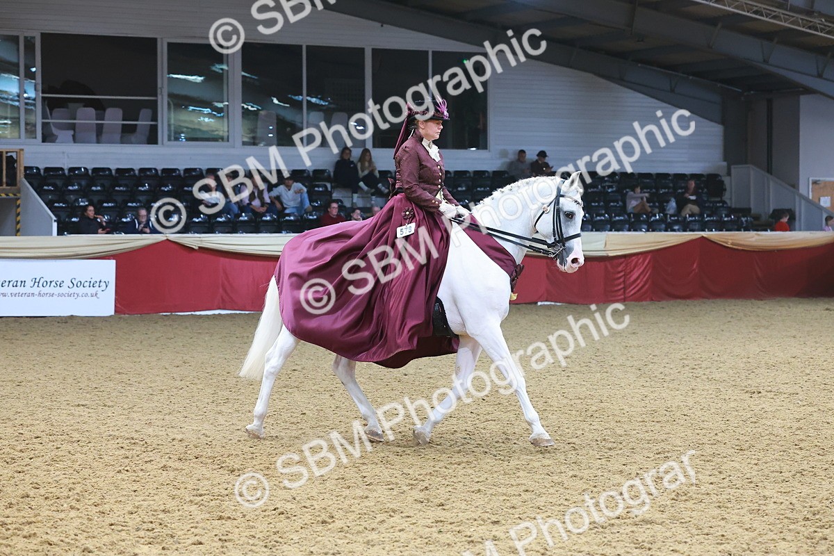 SBM_14803 - Class 108 - Ridden Costume - Astride Adult (20+)