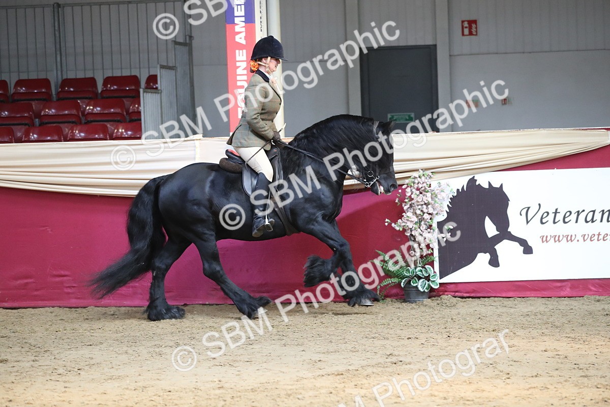 SBM_08310 - Class 11R Regional Ridden Veteran