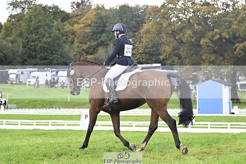 251023A-140616-04240 - D-328-Julia.Knight-Jones