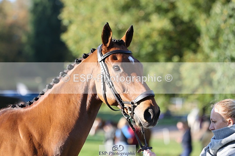 241027-091330-15134 - 462-Helen.Jackson-ADAMS.PARK