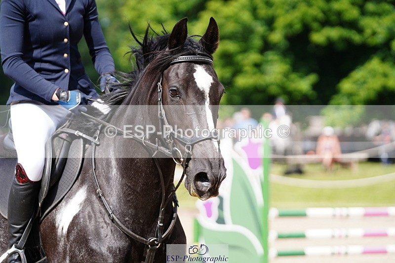 250615A-100516-10014 - Class 43 British Novice 90cm Open