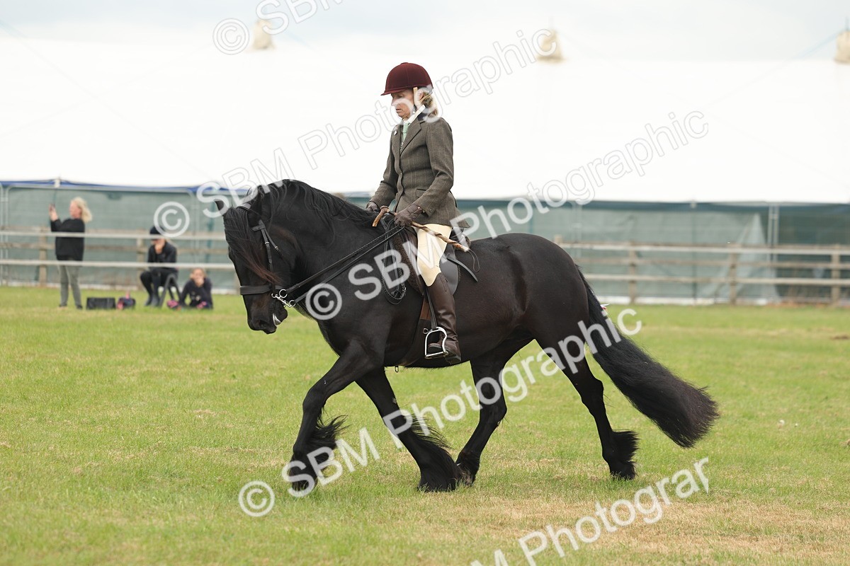 SBM_08973 - Class 78-80 - Ridden M&M Non Welsh Ponies