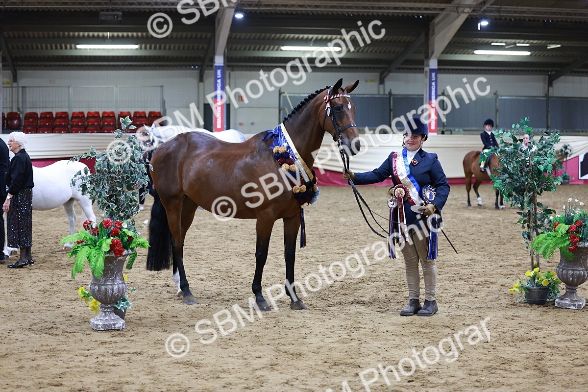 SBM_20361 - Class E - Best Turned Out Champ