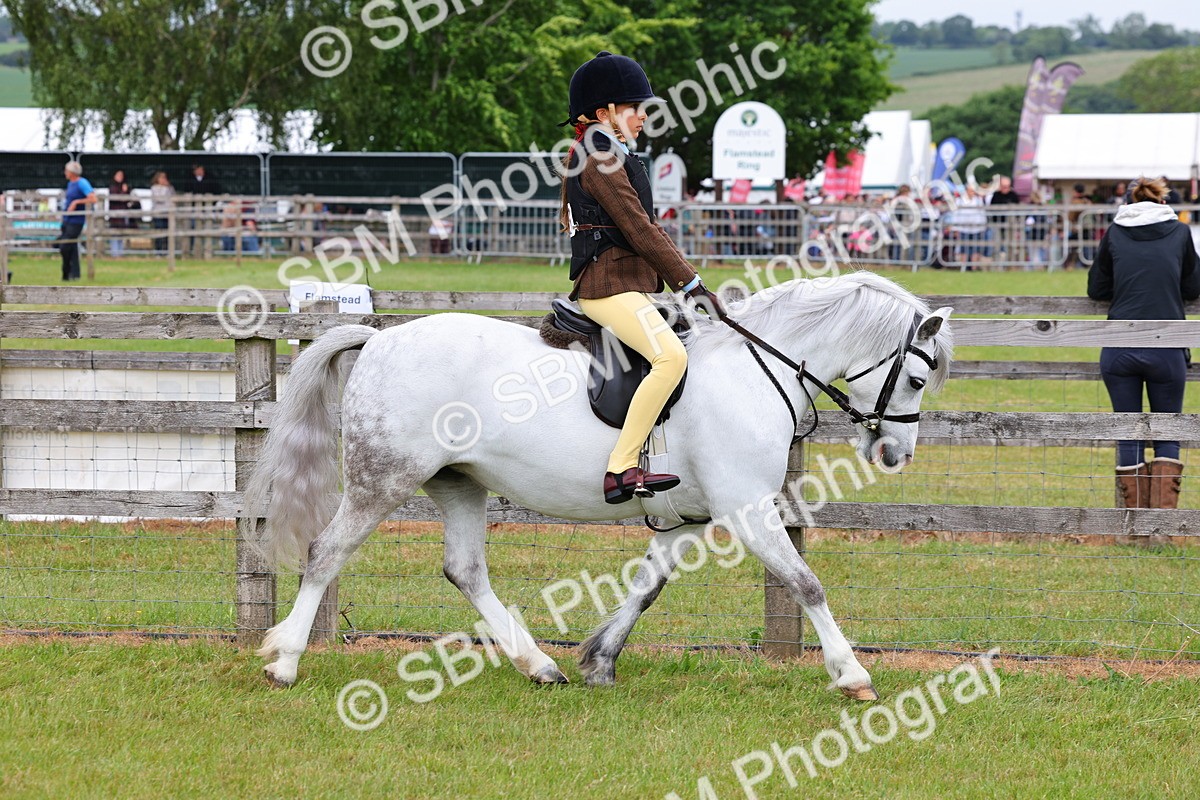 SBM_08534 - Class 42-43 - LIHS BSPS Heritage Working Sports Pony