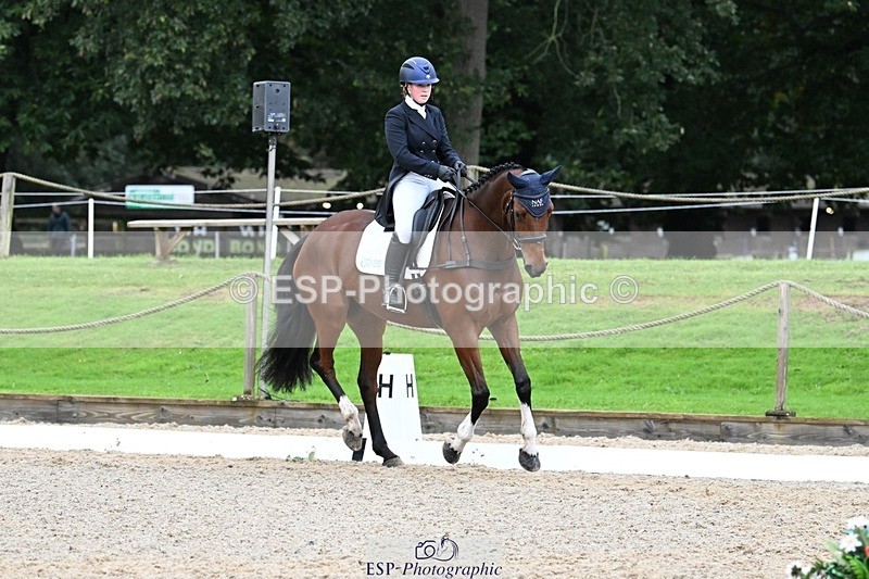 231019-113941-01873 - 040-DODINGTON-Sophie.Wildern-DR