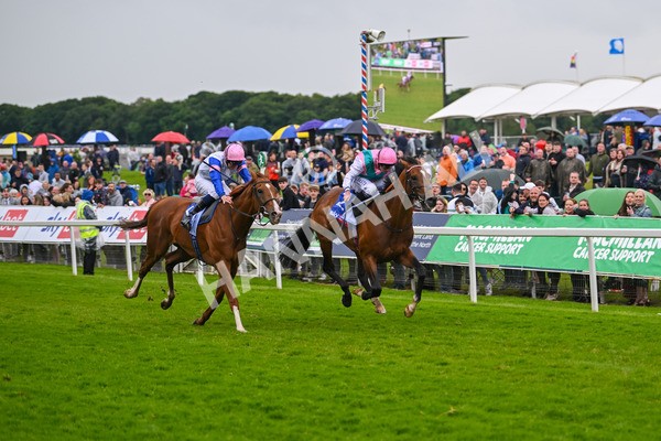 150624-Race 3-Klondike-7099 - Race 3 3.00pm Sky Bet Race To The Ebor Grand Cup Stakes