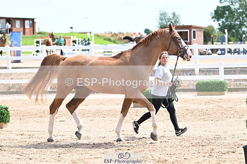 240717A-144748-02295 - Trot Up 2pm to 3pm - This folder is not in time order