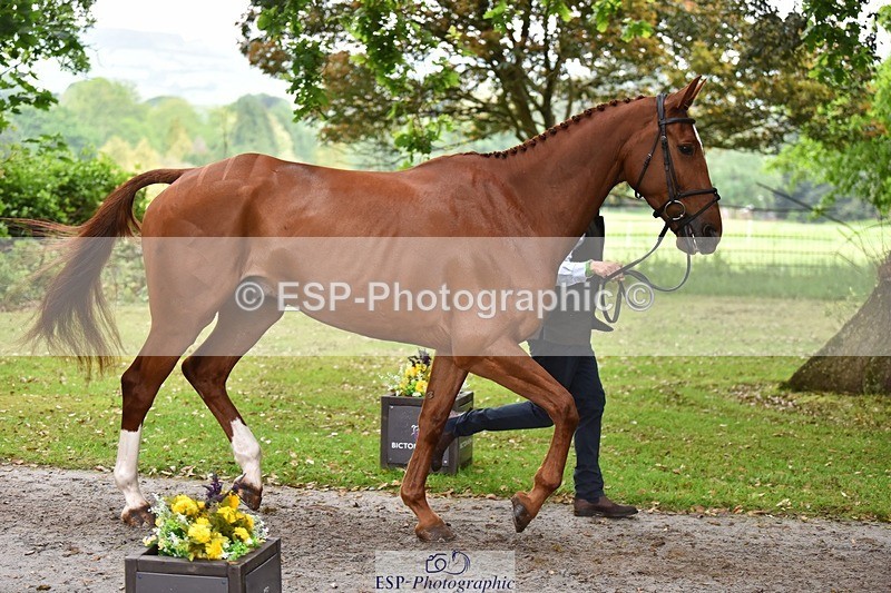 240522-171548-01489 - 280-SHANNONDALE_ARNOLD-Tom_McEwen