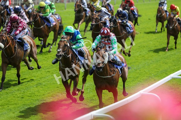 290723-Race 1-Soul Seeker-3799 - Race 1 2.05pm Sky Bet 'Jump Jockeys' Nunthorpe' Handicap