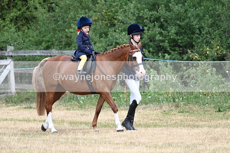 WJ7_9577 - Class 1 Lead Rein Pony