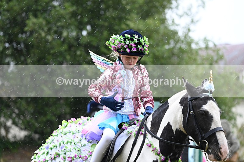 WJ6_9114 - Class 11 Fancy Dress