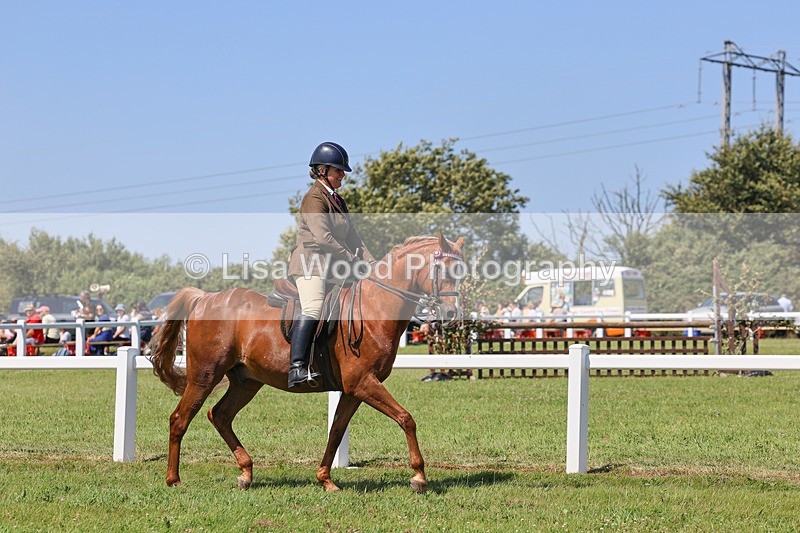 IMG_2208 - Class 37: Pure, Anglo & Part Bred Ridden Arab