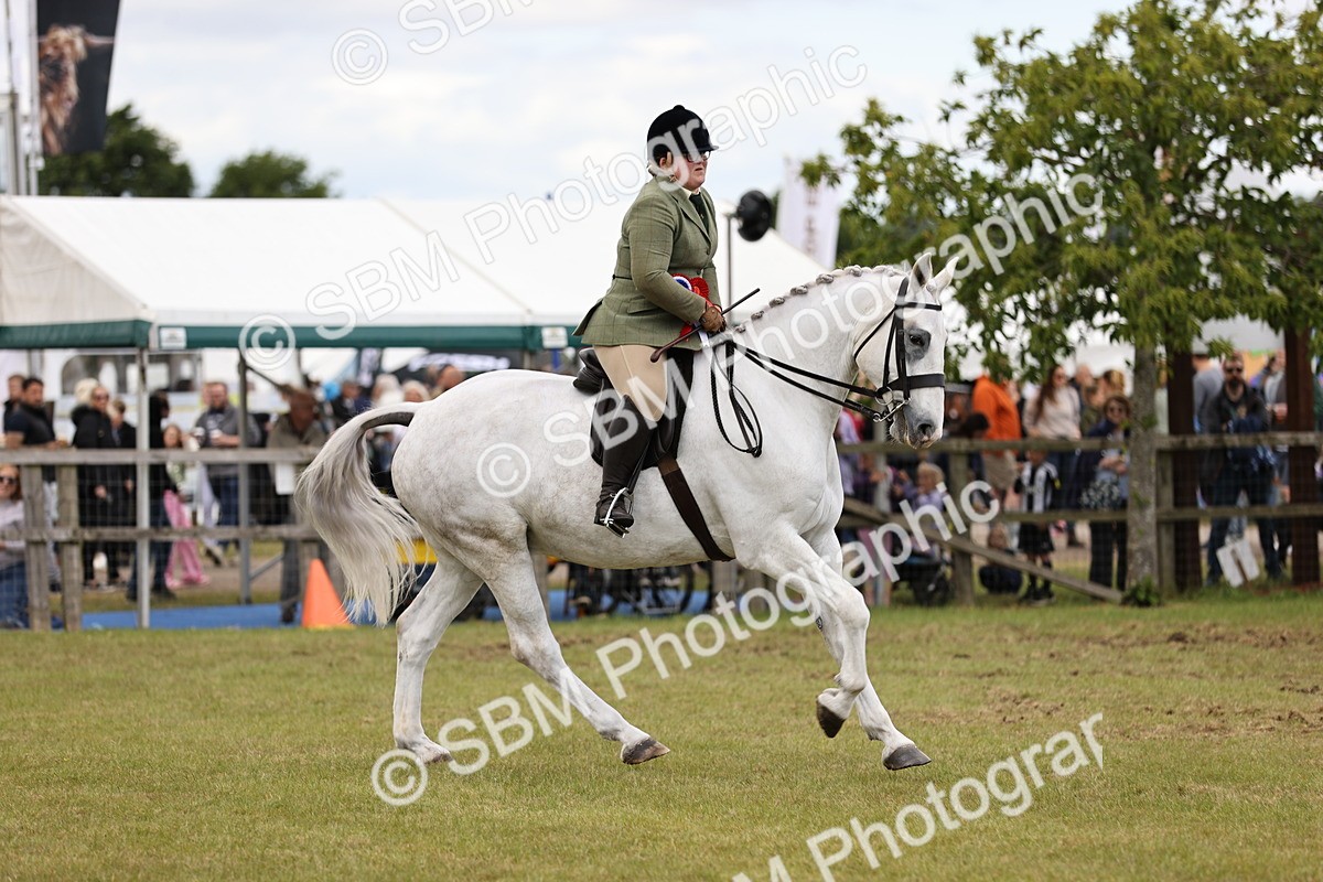 SBM_14827 - Class 88-89 - LIHS BSHA Rising Star of Ridden Hunter Type