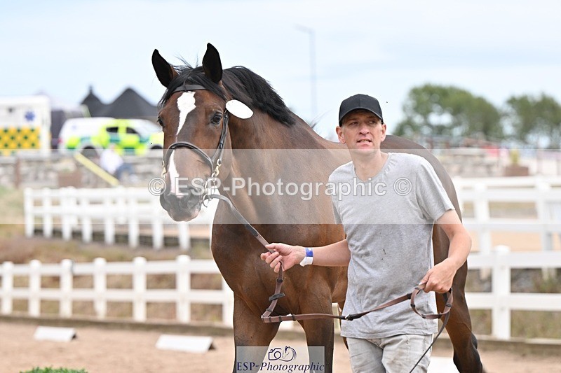 250716-152505-01923 - Trot Up 2.30 to 3.30