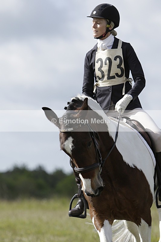 BVHT 140517 -142 - Class 1 DR Intermediate 14/05/17