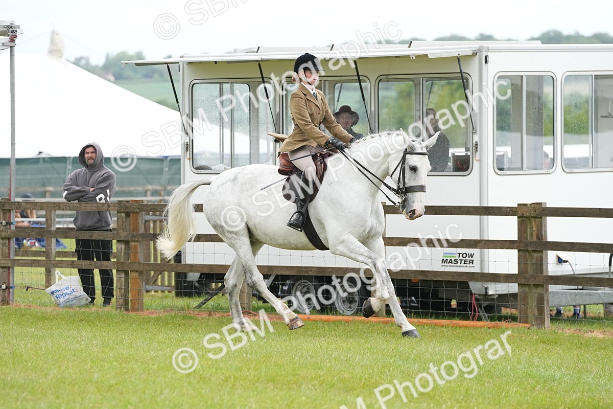 SBM_12688 - Class 97-98 - LIHS BSHA Rising Star Working Show Horse Hunter