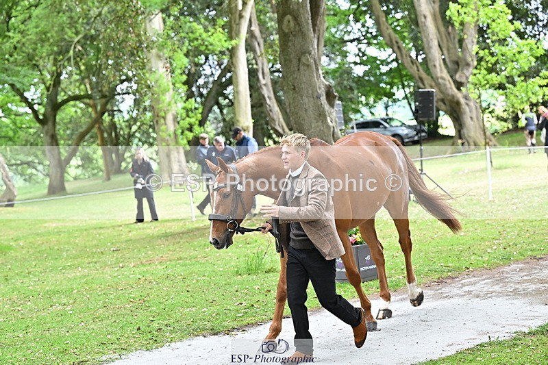 250521A-144842-00258 - A-062-Finn.Healy-GREANNANSTOWN.MONBEG.JOE