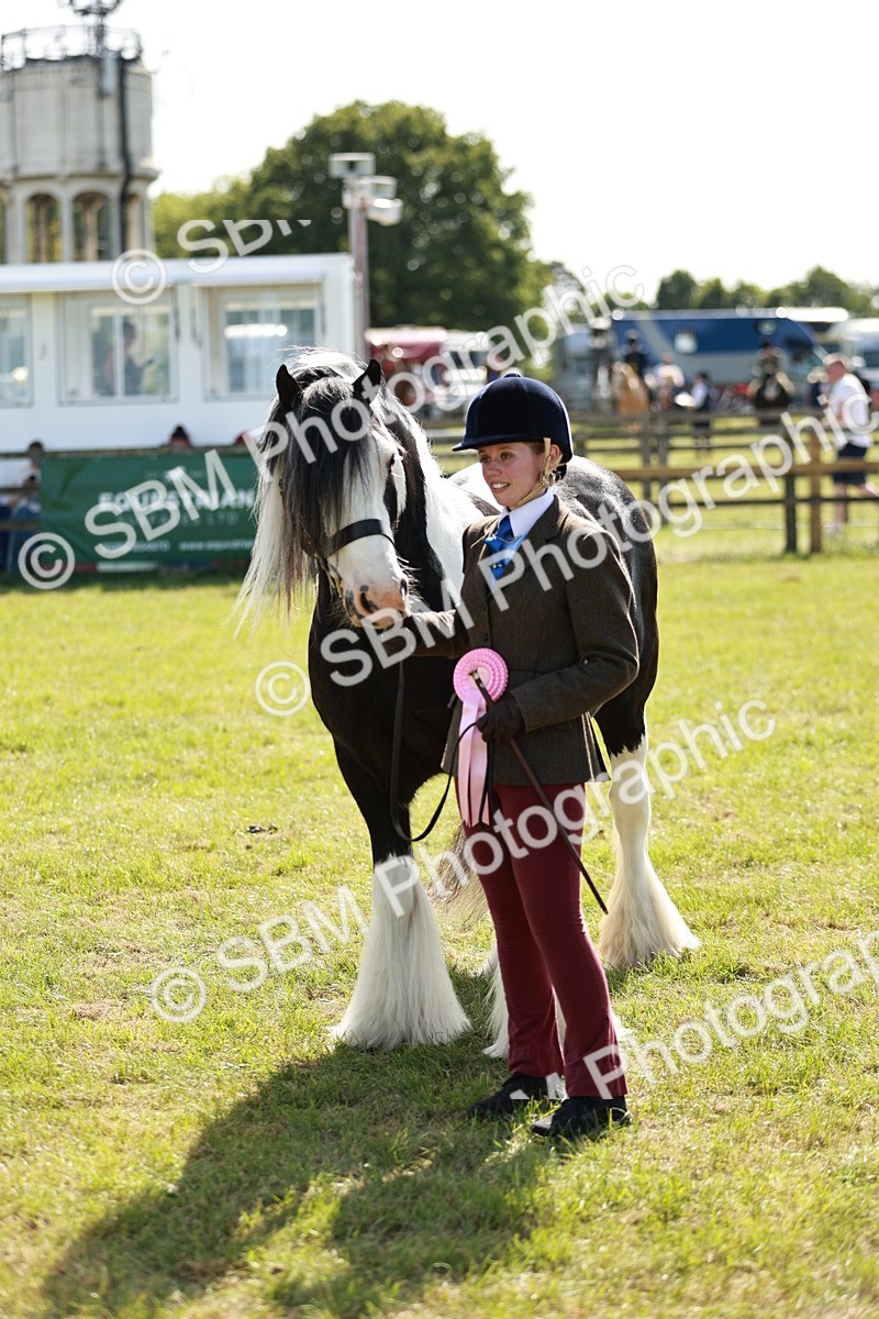 SBM_08937 - Class 63-65 - Traditional Gypsy Cobs In Hand & Ridden