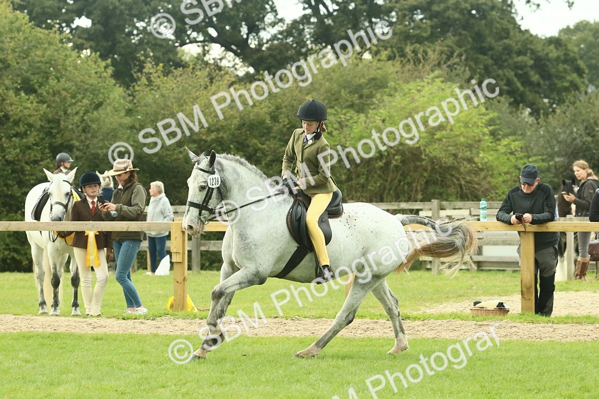 SBM_74058 - S 61 - Show Pony & Show Hunter Pony Ridden