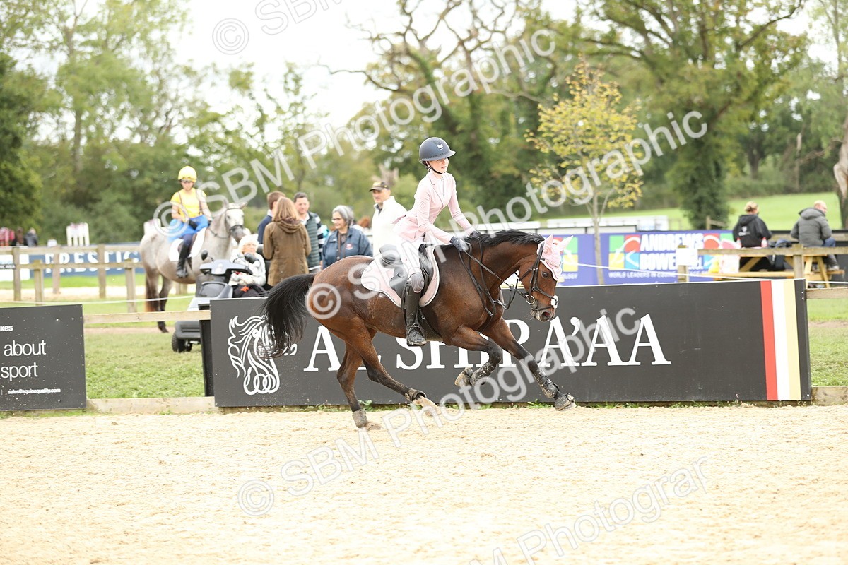 SBM_63223 - Supreme championship 75cm 80cm