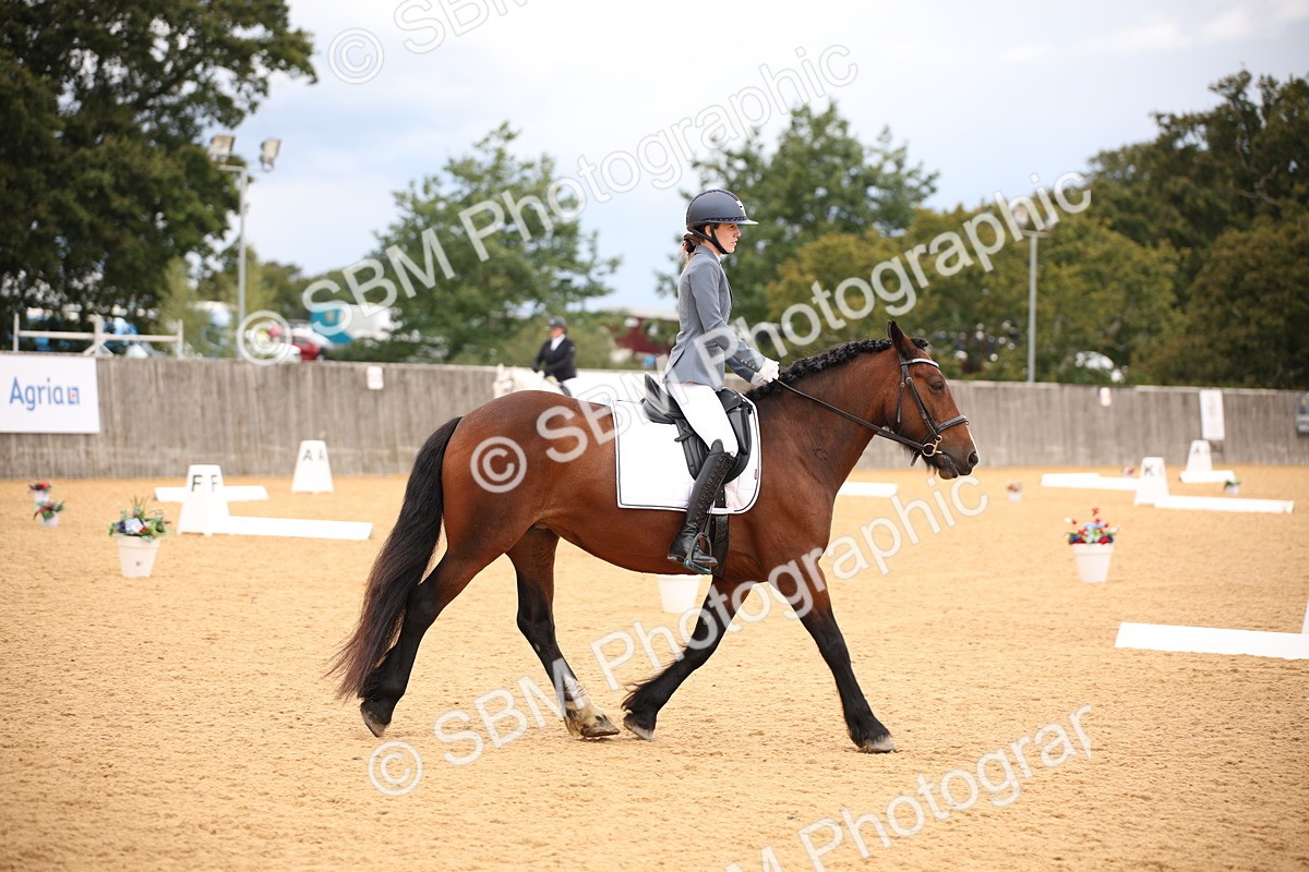 SBM_09110 - D8 Small Tour Championship Prelim 7