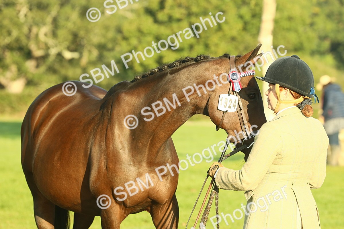 SBM_56715 - S36 - Starters Best Turnout