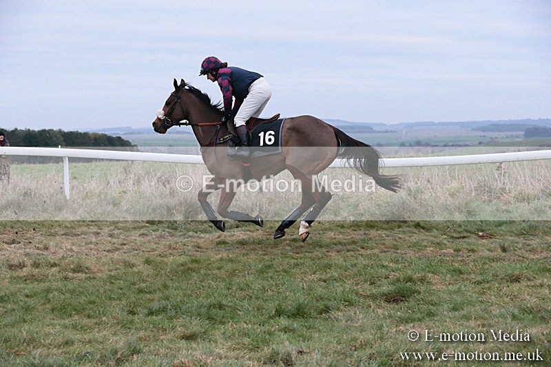 PtP 060119 544 - Larkhill Racing Club - Point-to-Point- 06/01/2019