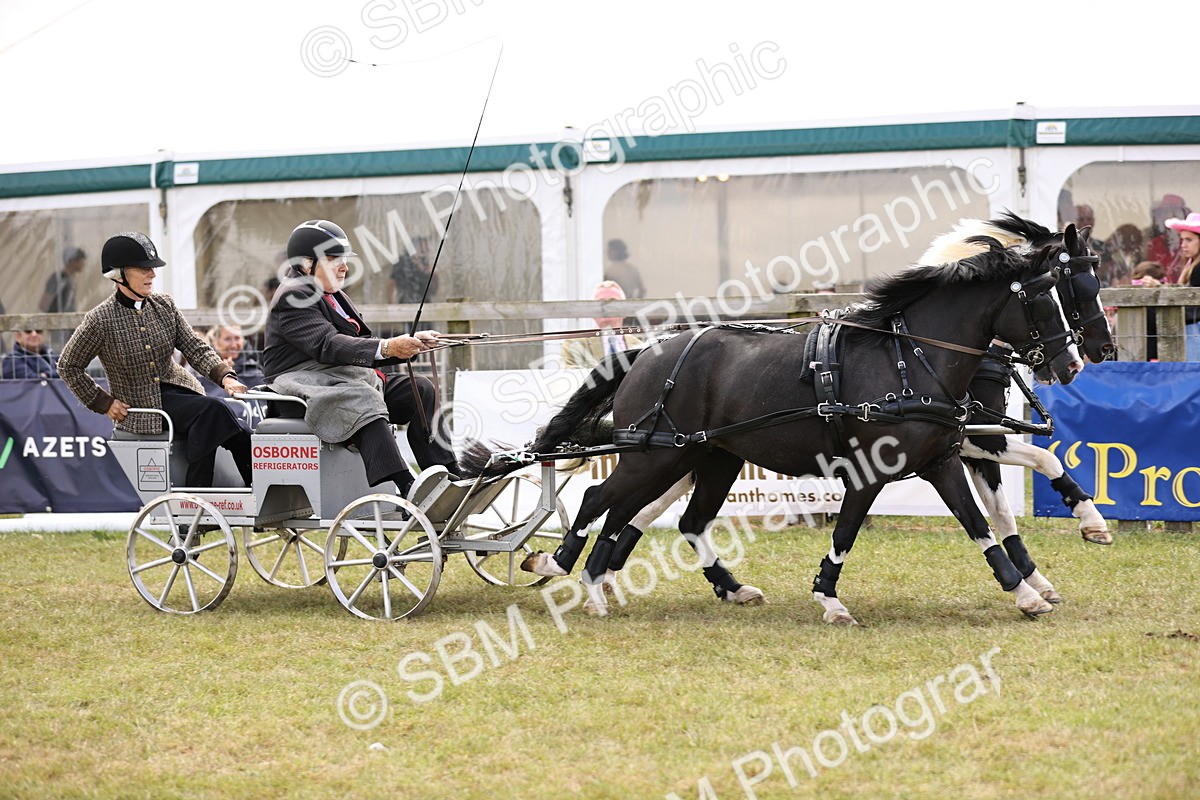 SBM_16074 - Class 91 - Scurry  exceeding 122cms