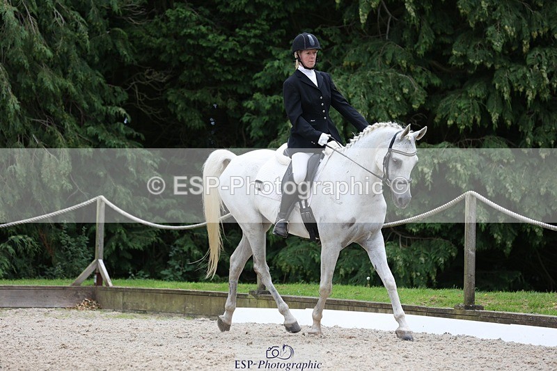 230812-151623-05098 - Cls 5 Novice Bronze 15.00 to End