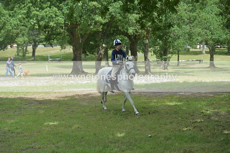 NGP_7858 - Time 11:28 to 11:38