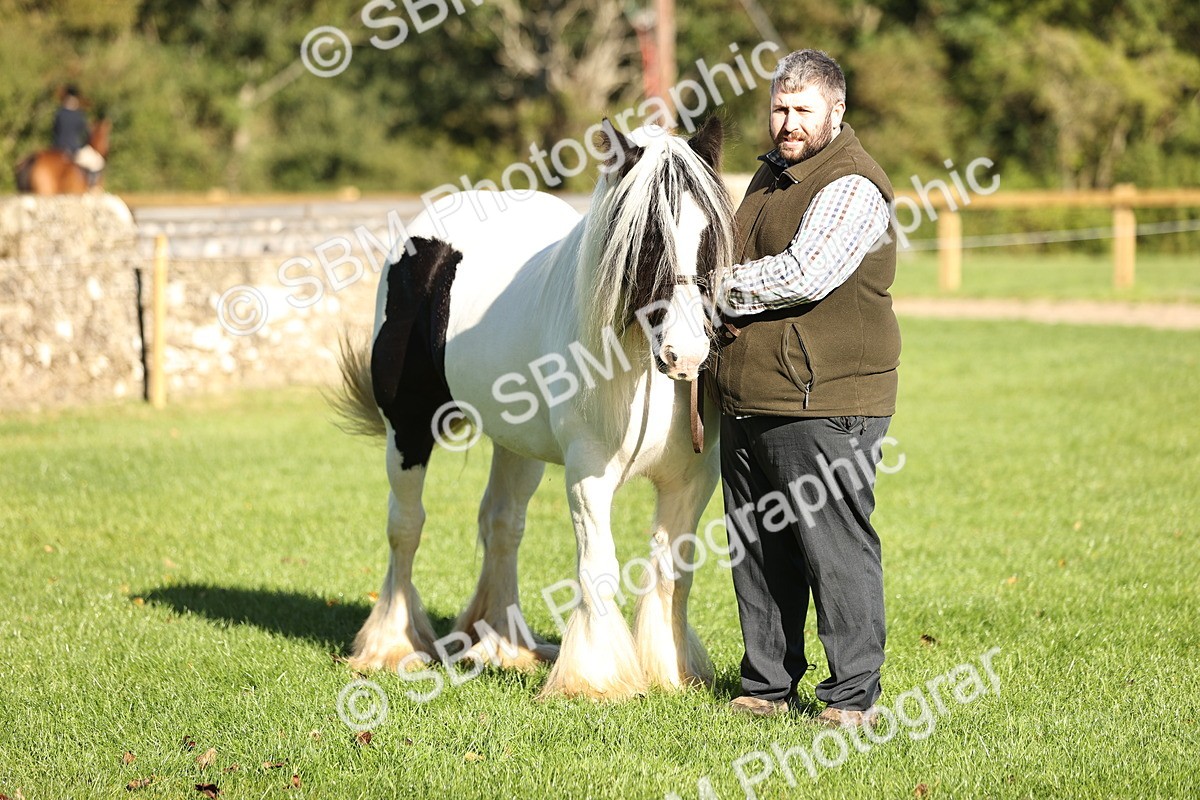 SBM_15825 - S1 - TSR in Hand Horse & Pony Showing
