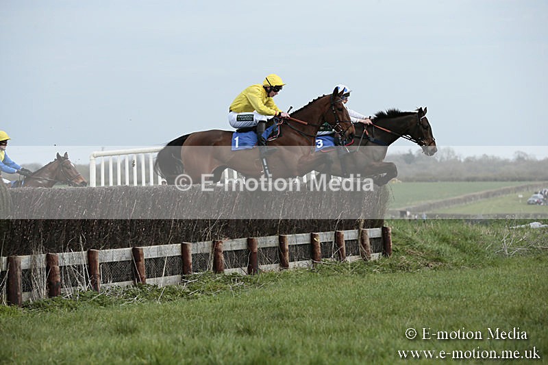 PtP 230319 15 - VWH Hunt Siddington Point-to-Point Racing 23/03/19
