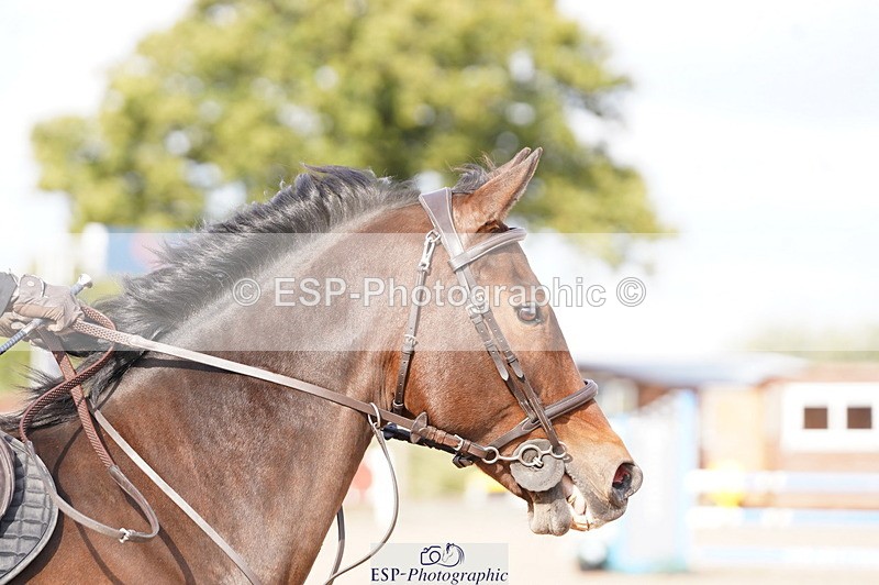 241004A-115052-00342 - Fri 02 Snr 1.05m Open