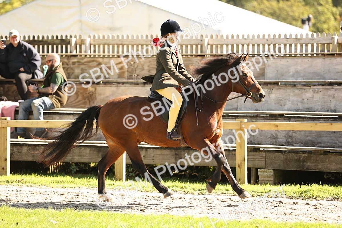 SBM_19170 - S3 - TSR Ridden Pony Showing