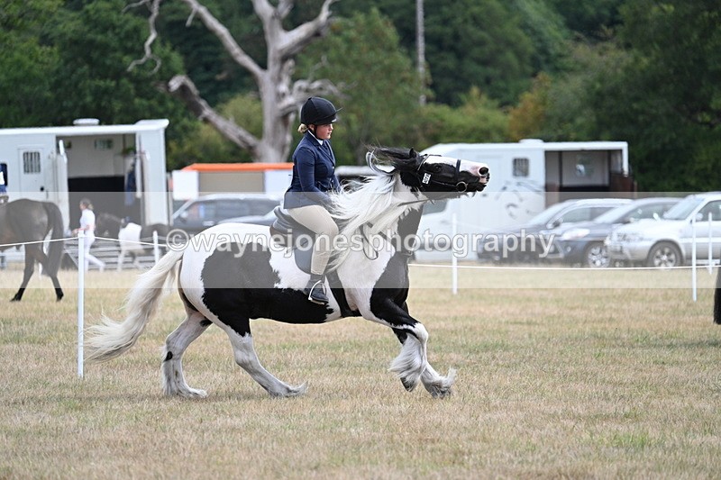 WJ7_5593 - Class 12 Ridden Cob