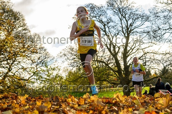 NatRel25-913794 - Young Female Set Two