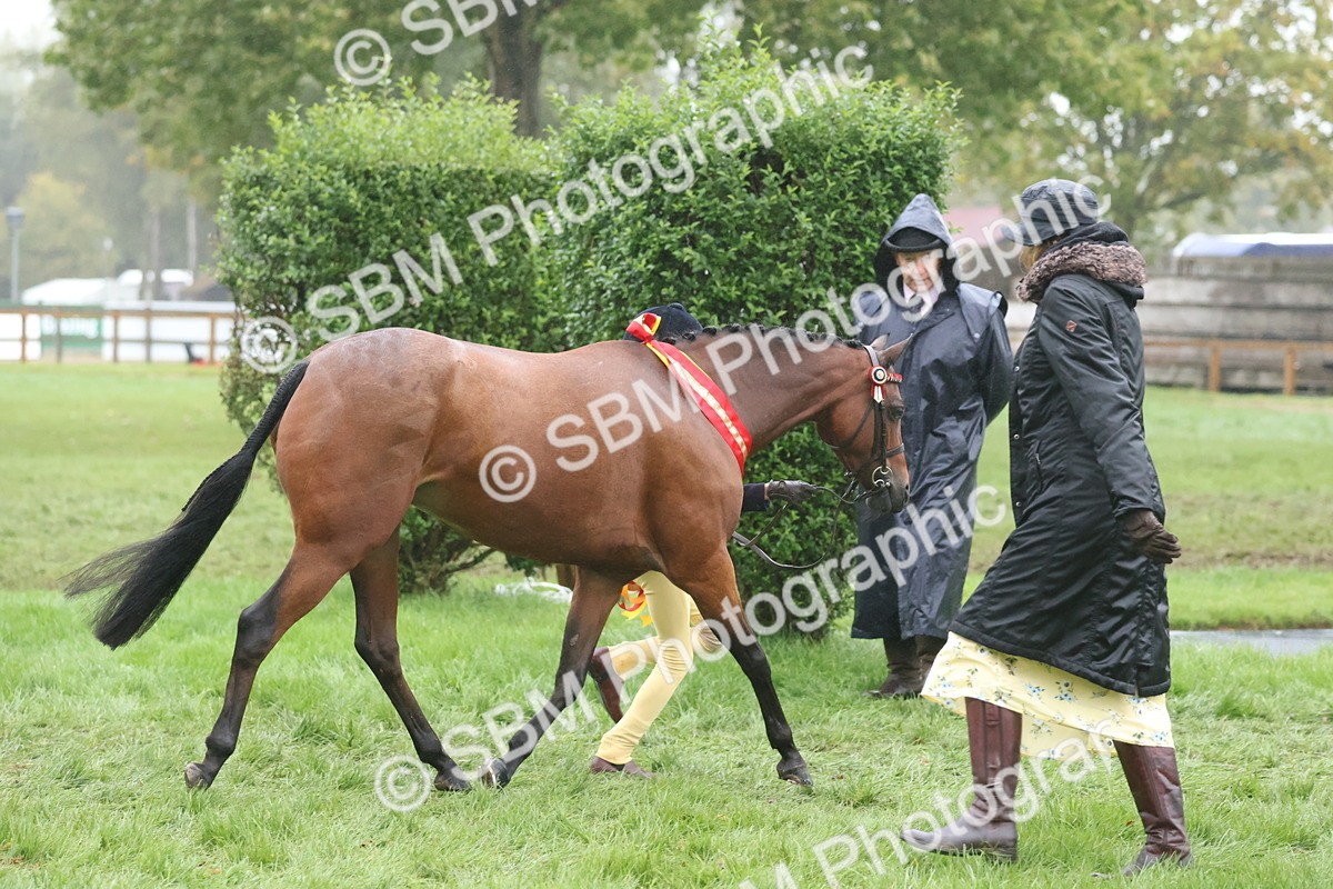 SBM_73234 - Super Supreme Championship(Sun)