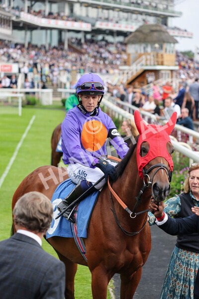 yr24072021r7-16 - Race 7 5.35pm The Sporting Life Fast Results Stakes