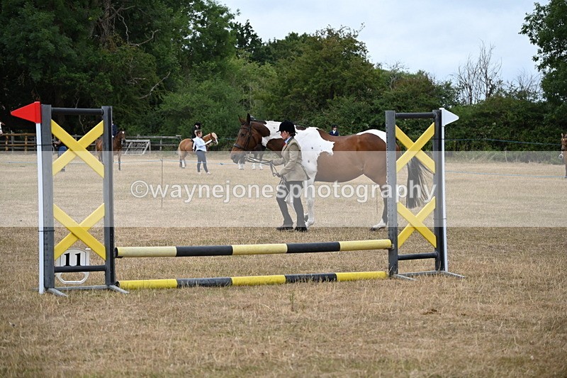 WJ6_8171 - Class 10 Coloured in Hand