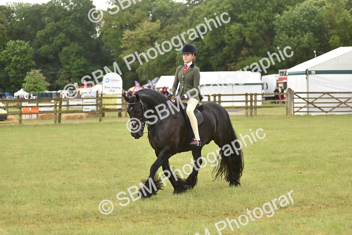 SBM_12032 - Class 110-112 - LIHS BSPS Performance Pones